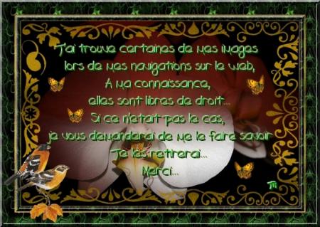 ***Recommandations***